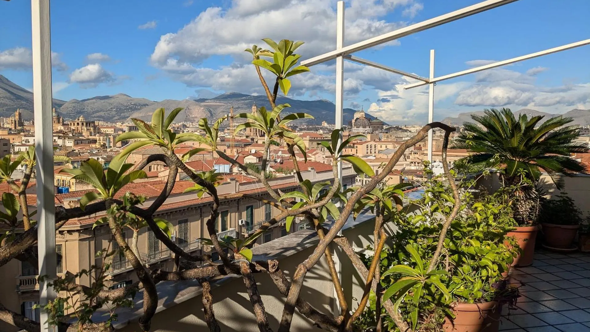 Montesanto Apartment Palermo Homestay
