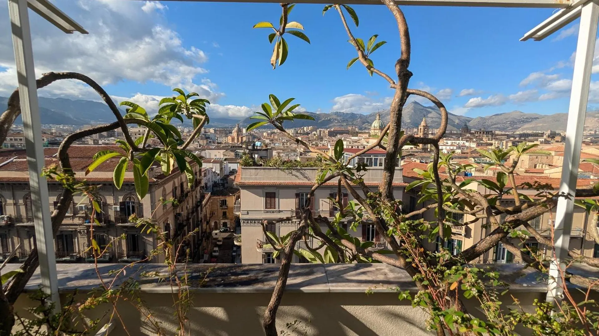 Montesanto Apartment Palermo Italy