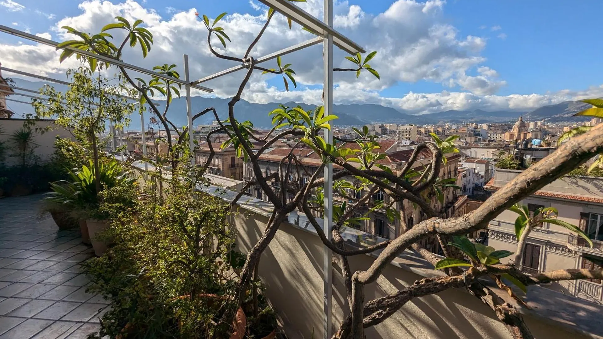 Homestay Montesanto Apartment Palermo Italy
