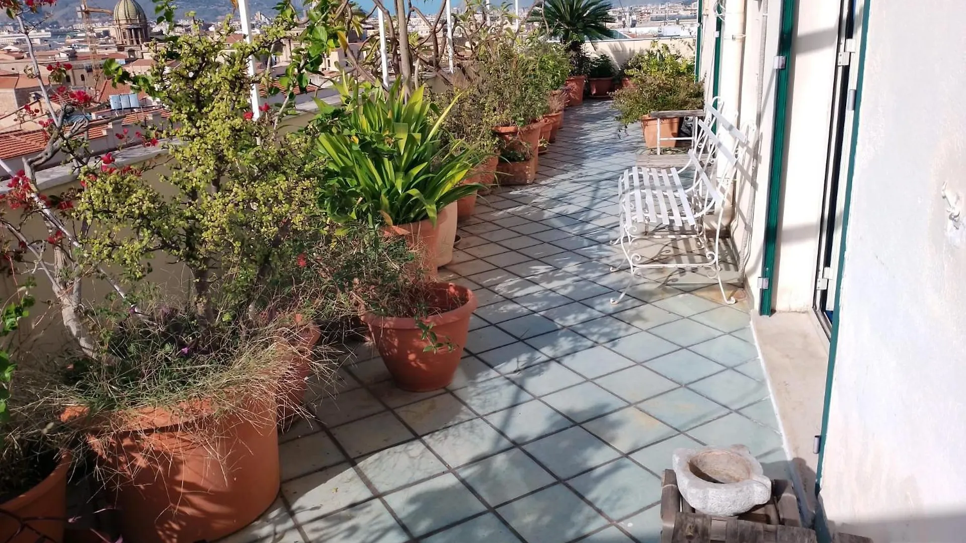 Homestay Montesanto Apartment Palermo