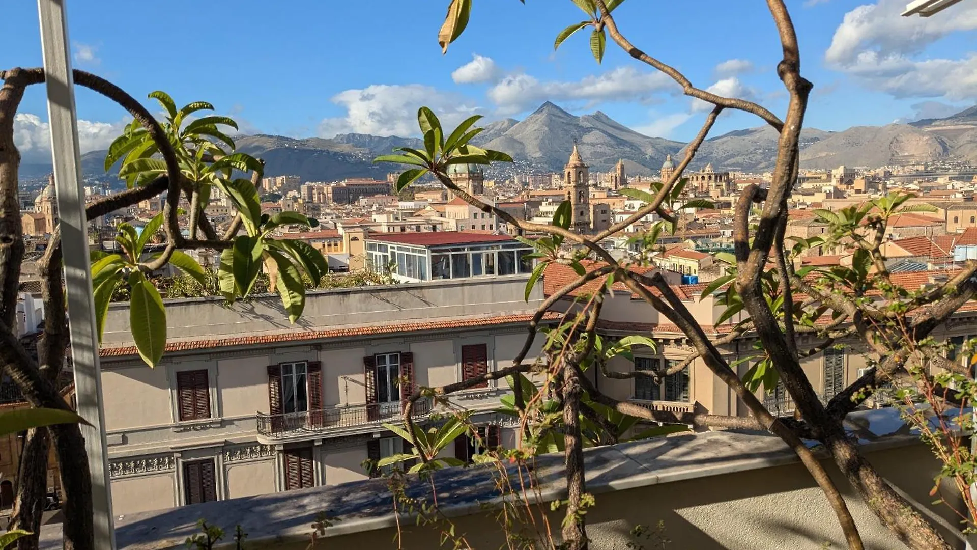 Montesanto Apartment Palermo Italy